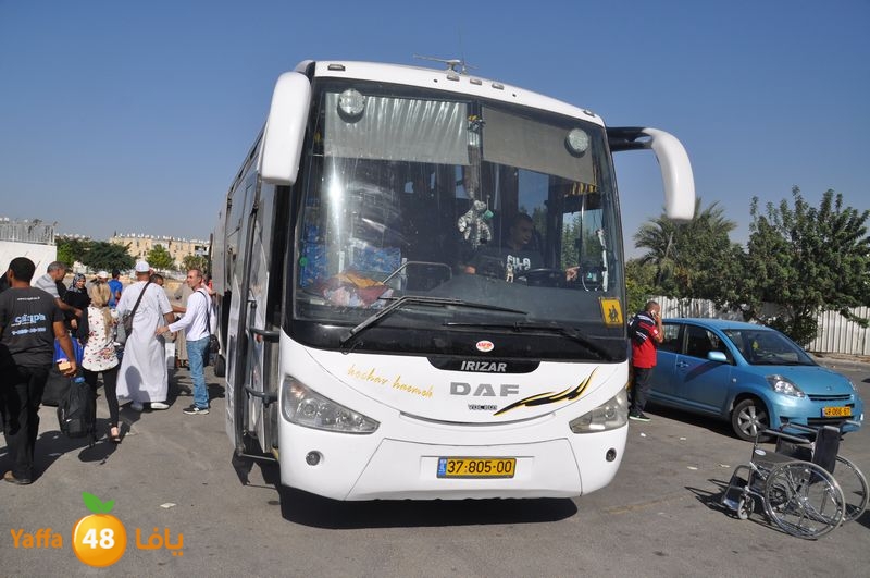 lud plane 7ojaj 1022 (2).JPG